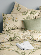 КПБ, Guten Morgen, Поплин, рис.1181, Formakspalm